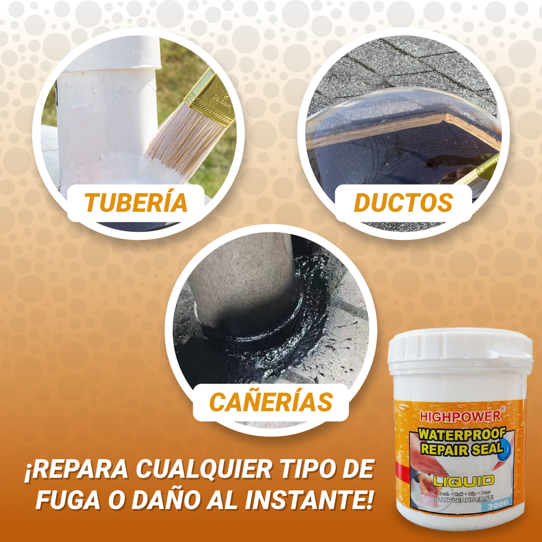 Sellador Impermeable ProShield 300g